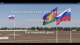 Видео 5 скаковой день - 09.06.2018г. (Краснодарский ипподром)