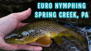 Euro Nymphing Spring Creek PA in Early August