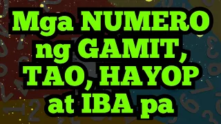 Mga NUMERO ng GAMIT, BAGAY, HAYOP, TAO at Iba pa | @dreamsmaster1818