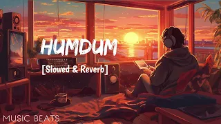 SAVI: Humdum slowed& reverb | Divya Khossla, Harshvardhan Rane, Vishal M, Raj S|Mukesh, Abhinay