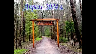 Переделкино апрель 2024