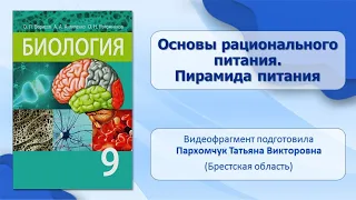 Пищеварительная система. Тема 33. Основы рационального питания. Пирамида питания