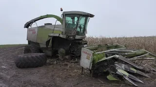 Что только не увидишь в колхозе