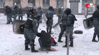 Беркут б'є людей повне відео