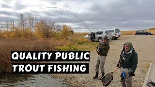 Quality Public Trout Fishing | Parklands