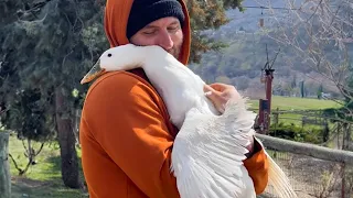 Amazing Love Between Animals and Humans That Will Warm Your Heart 💖