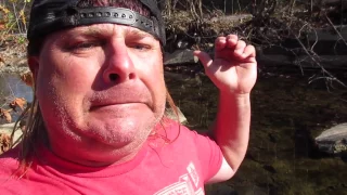 Donnie Baker Blasts Trump Protesters with an Emergency Edition of River Confessions!