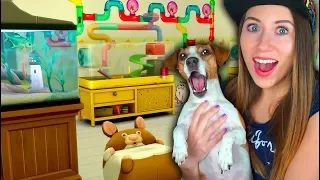 КОМНАТА ПИТОМЦЕВ В SIMS МОЙ ХОМЯК ИГРАЕМ ЛЕТСПЛЕЙ | Elli Di Pets