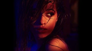 Camila Cabello - SCAR TISSUE (lyrics)