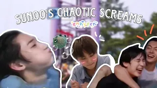 Lots of sunoo's scream ft. Jay and Jungwon | quimwi