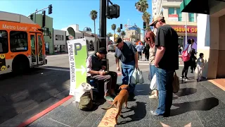 Жизнь в США. Калифорния. Голливуд. Аллея Звезд. Hollywood Walk Of Fame