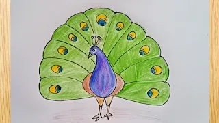 how to draw peacock drawing and colouring easy step by step@DrawingTalent