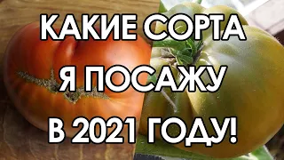 ТОМАТЫ, КОТОРЫЕ Я ПОСАЖУ В ЭТОМ ГОДУ! ЧАСТЬ 1 - ТОМАТНЫЕ ГНОМЫ.