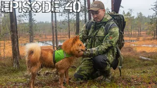 Kanalinnun metsästystä 2020 | Suomenpystykorvan matkassa | Erämaiden Kulkijat