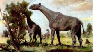 Индрикотерии - гигантские вымершие млекопитающие. Рассказывает палеонтолог Иварс Зупиньш