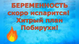 Деревенский дневник очень многодетной мамы  БЕРЕМЕННОСТЬ скоро ИСПАРИТСЯ Хитрый план  Обзор влогов