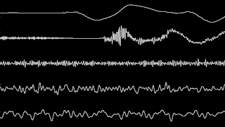 Plok! - Beach (Oscilloscope View)