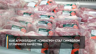 Как агрохолдинг «СИБАГРО» стал символом отличного качества