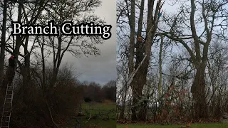 Branch cutting in action using a Gardena TCS 20/18v