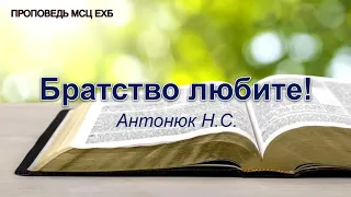 Братство любите. Антонюк Н.С. Проповедь. МСЦ ЕХБ