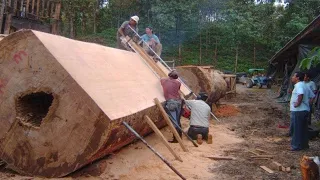 This monster wood sawmill machine is INCREDIBLE. Amazing firewood processor & wood cutting equipment