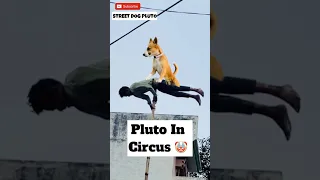 Pluto Join Circus 😨 | #423