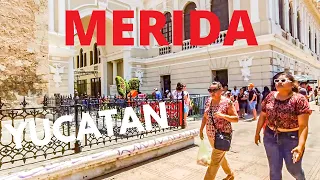 🇲🇽 Walking Tour of Merida Centro Yucatan Peninsula | Virtual Travel | 2023