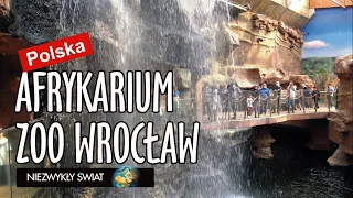 Niezwykly Swiat - Polska - Zoo Wrocław - Afrykarium