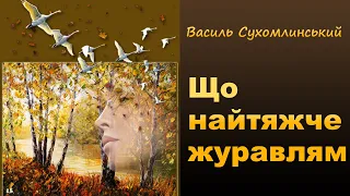 Що найтяжче журавлям Василь Сухомлинський 3 клас оповідання українською