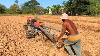 How He Turned Desert Sand Into Fertile Farm Land In 3 Months! 4