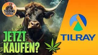 🚨 TILRAY crasht Cannabis-Sektor! Wie geht's weiter? | Technische Analyse & Preisziele