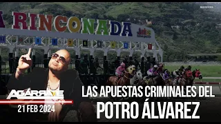 LAS APUESTAS CRIMINALES DEL POTRO ÁLVAREZ