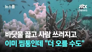 바닷물 끓고 사람 쓰러지고…이미 찜통인데 "더 오를 수도" / JTBC 뉴스룸