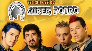 Super Potro // Mix 2022 // Joyitas de Oró // sus mejores canciones