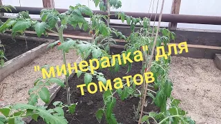Удобрения и подкормки для  томатов.
