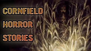 3 True Freaky Cornfield Horror Stories