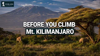 Kilimanjaro Secrets Nobody Tells You (Except Now! You're Welcome!)