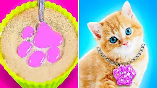 I Will Never Lose My Cat!😿❤️‍🩹 Best Diys and Gadgets for Pet Owners