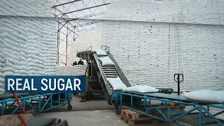 Real Sugar / В центре внимания – 09 (9 ноября 2019 года)