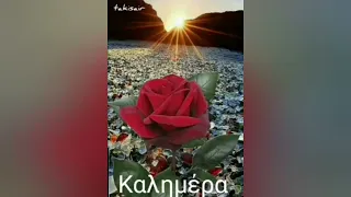 γλυκιά καλημέρα 🌺