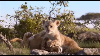 Le Roi Lion - Simba et Nala petit - Le film