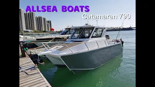 Allsea Boats 7.9m Catamaran Spacious Entertainment Boats