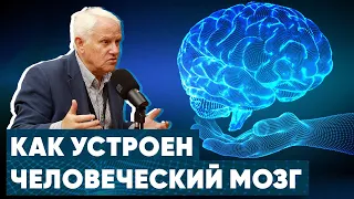 История человеческого мозга - Александр Каплан