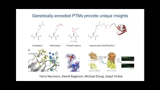 Jason Chin: "Reprogramming the genetic code"