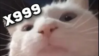 Vibing Cat meme - X999