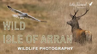 Wild Arran - A Scottish Wildlife photography trip