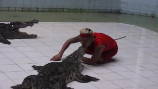 Таиланд, Пхукет -  Шоу крокодилов, Thailand, Phuket - Show crocodiles