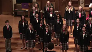 Concert Choir: Cantamos!