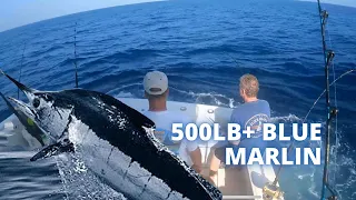 500 lb + Blue Marlin!! Deep Sea Fishing Long Island!