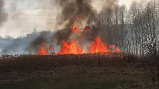 На Харьковщине люди подожгли 90 гектаров полей за сутки